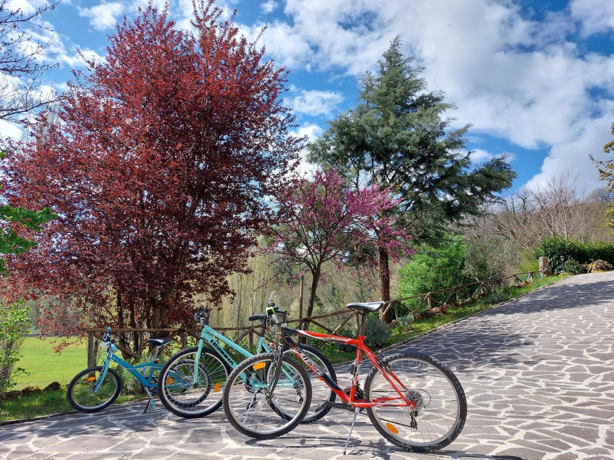Il Ciottone Vila Nocera Umbra Exterior foto